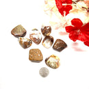 Fire Agate Tumbles (Protection from Psychic Attacks)