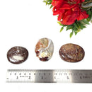 Fire Agate Palmstone (Protection & Creativity)