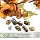 Fire Agate Cabochons