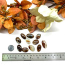 Fire Agate Cabochons