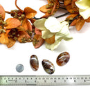 Fire Agate Cabochons