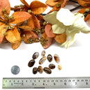 Fire Agate Cabochons