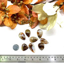 Fire Agate Cabochons