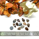 Fire Agate Cabochons