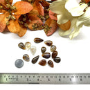 Fire Agate Cabochons