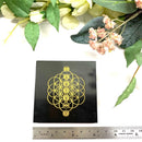 Small Black Tourmaline Plates for Protection & Grounding- Beta