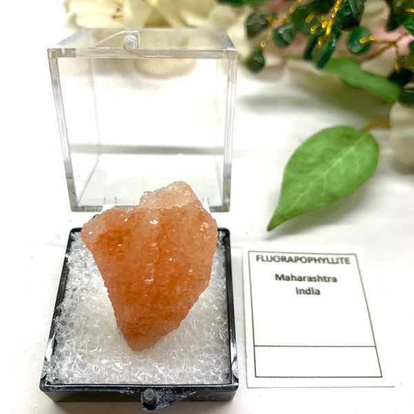 Fluorapophyllite Mineral Specimen