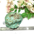 Fuchsite Rough (Renewal and Rejuvenation)