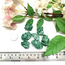 Fuchsite Rough (Renewal and Rejuvenation)