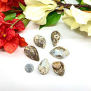 Ganesh Agate Rough (Release Stress and maintain balance)