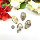 Ganesh Agate Rough (Release Stress and maintain balance)