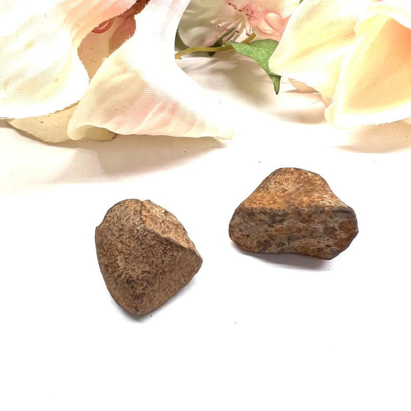 Gao-Guenie Meteorite