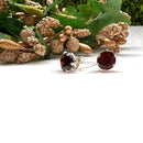 Garnet Earrings in Silver