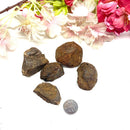 Rough Garnet (Courage & Support)