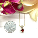 Garnet Small Pendants in Silver (Vitality & Joy)