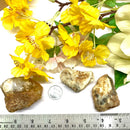 German Dendritic Agate Rough (Spiritual Growth)