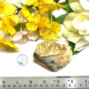 German Dendritic Agate Rough (Spiritual Growth)