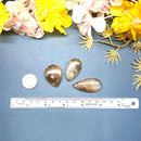 Golden and Green Rutile Cabochons