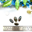 Golden Kyanite Cabochons(Aura Cleansing)