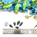 Golden Kyanite Cabochons(Aura Cleansing)