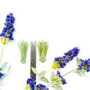 Green Aventurine Angel (Healing and Abundance)