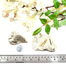 Green Tourmaline on Matrix Rough (Prosperity & Luck)