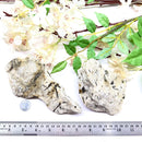 Green Tourmaline on Matrix Rough (Prosperity & Luck)