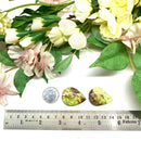 Green Opal Cabochon (Rejuvenation)