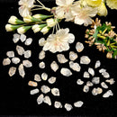 Herkimer Diamond Quartz (Spiritual Growth)