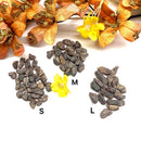 Hessonite Rough (Good Health)