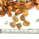 Honey Fluorite Rough (Positivity)