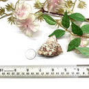 Howardite Agate Rough (Creativity & Endurance)