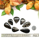 Hypersthene Cabochon