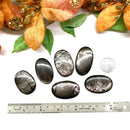 Hypersthene Cabochon