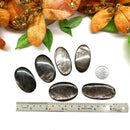 Hypersthene Cabochon