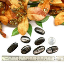 Hypersthene Cabochon