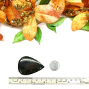 Hypersthene Cabochon
