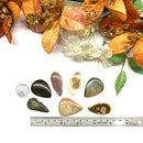 Imperial Jasper Cabochon