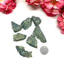 Kambaba Jasper Rough (Nurturing and Grounding)