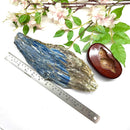 Raw Blue Kyanite on a Stand (Aura Cleanser & High Vibration)