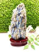 Raw Blue Kyanite on a Stand (Aura Cleanser & High Vibration)