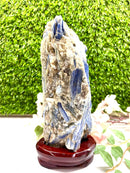 Raw Blue Kyanite on a Stand (Aura Cleanser & High Vibration)
