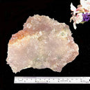 Large Amethyst Elestial Flower Clusters from Brazil (Intuition and Meditation)