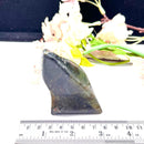 Labradorite Free Forms (Intuition and Awareness)