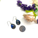 Labradorite Earrings in Silver