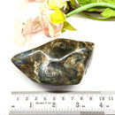 Labradorite Free Forms (Intuition and Awareness)