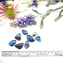 Labradorite AAA Cabochon (Intuition and Awareness)