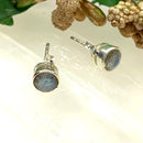 Labradorite Earrings in Silver