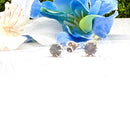 Labradorite Earrings in Silver