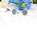 Labradorite Earrings in Silver